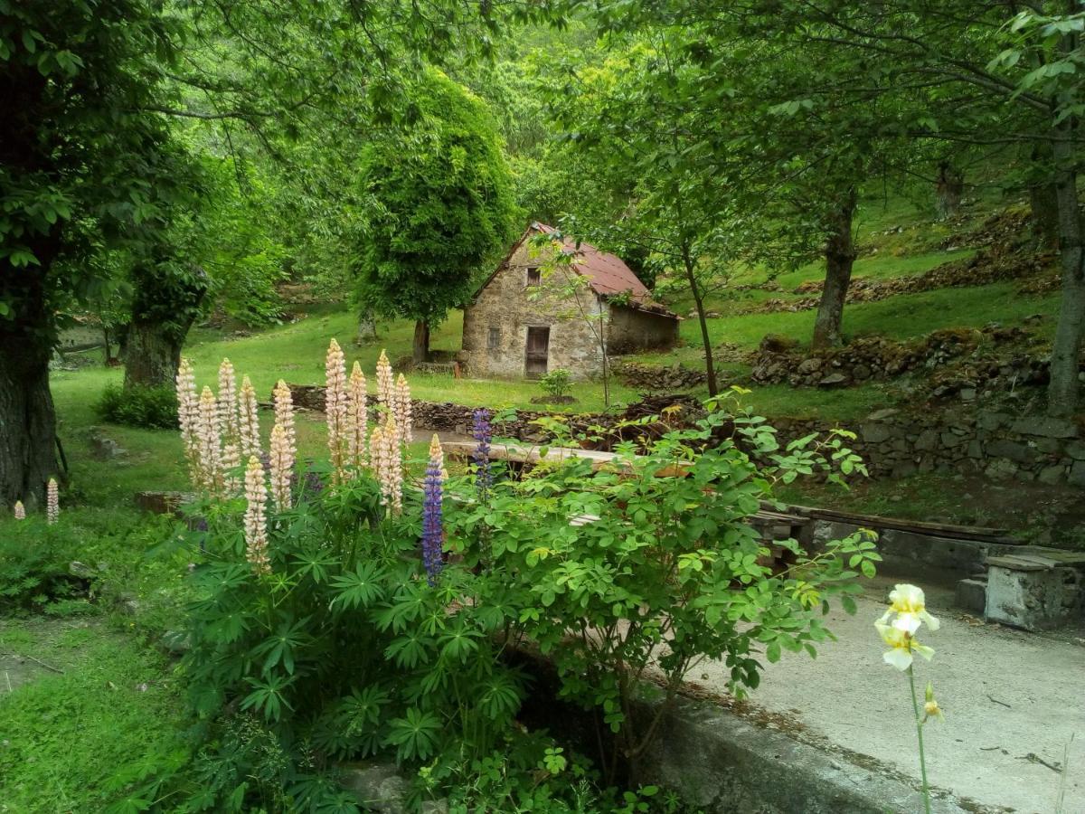Pieve Fosciana Casa Vacanze Le Muse Sillico מראה חיצוני תמונה