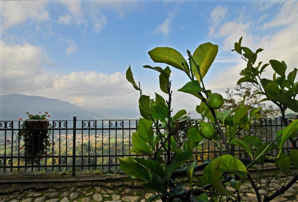 Pieve Fosciana Casa Vacanze Le Muse Sillico מראה חיצוני תמונה